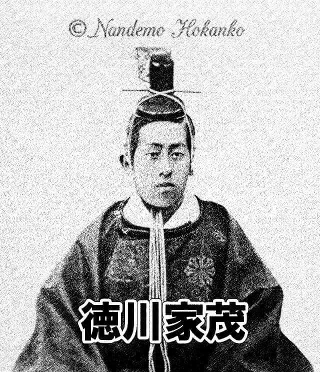 徳川家茂とは何者だったのか？14代将軍と和宮親子内親王との関係や写真について紹介しています。